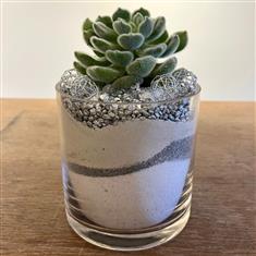 Silver Mist Succulent Vase