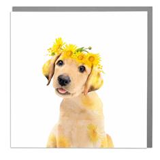 Card- Golden Labrador