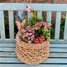 Enchanted Basket