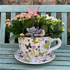 Planted Tea cup- Large