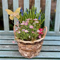 Woodland basket garden- Mini