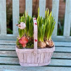 Spring Meadow Bulb Basket