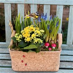 Golden Spring Song Planter