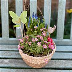 Spring bulb planter