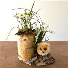 SALE- Owl garden with artificial white flowers