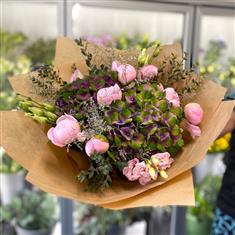 Hydrangea Harmony