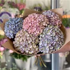 Pastel Cloud Bouquet