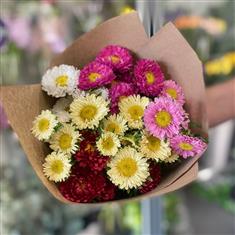 Candy Daisy Delight
