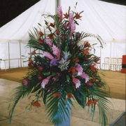 Exotic Pedestal