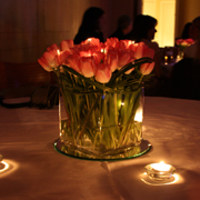 Tulip cube with LED lights