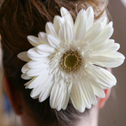 Hair comb with Gerbera detail