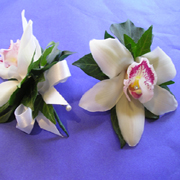 Cymbidium orchid buttonhole