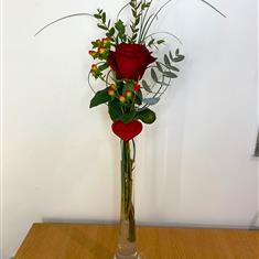 1 Rose- &#39;L&#39;Amour&#39;