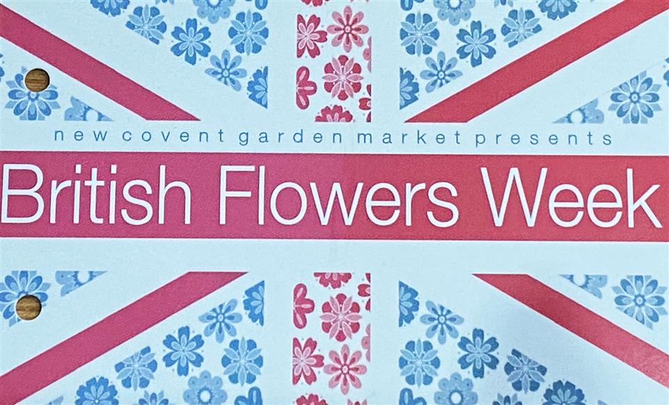 British Flowers Welwyn Garden City - Perfect Moment-Flowers Ltd