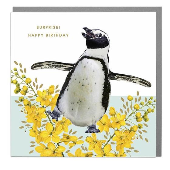 Birthday Card Penguin Perfect Moment Flowers Ltd Welwyn Garden City