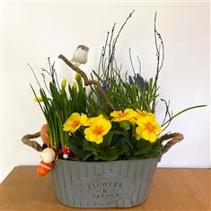 Beautiful Spring Trough
