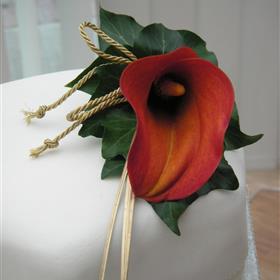 fwthumbAkele_wedding_mangocalla_caketop.jpg